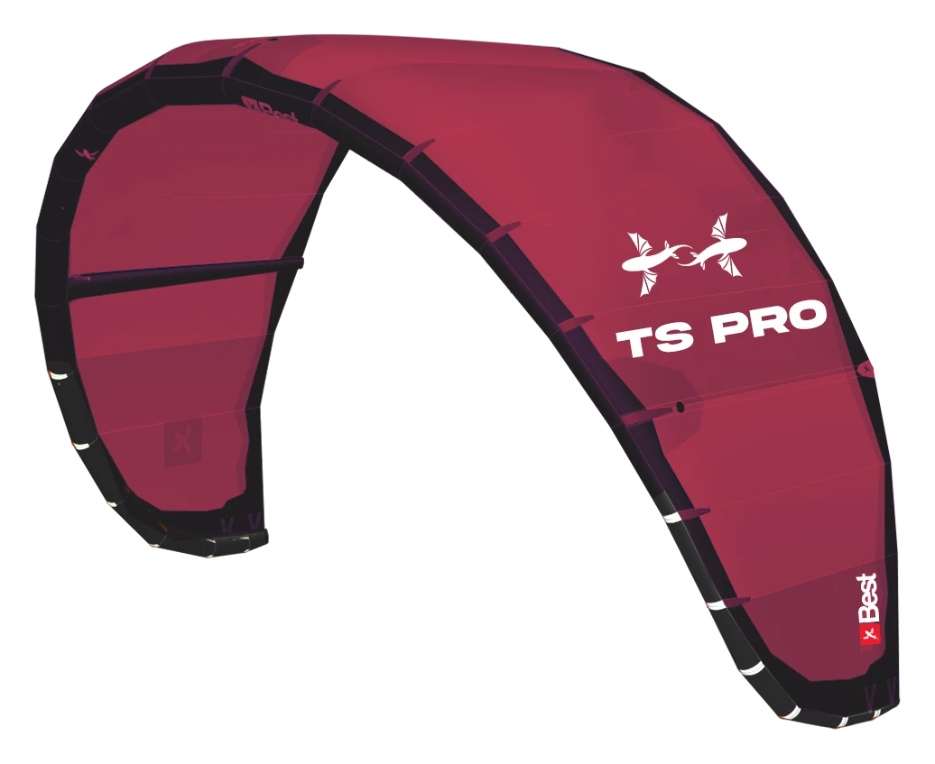 Best TS Pro 2024