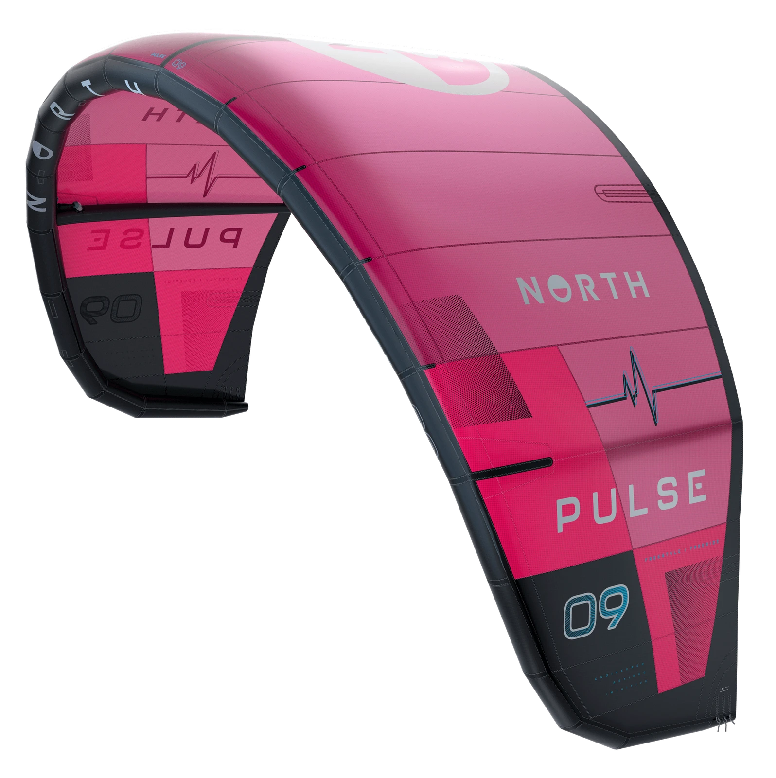 North Pulse 2024