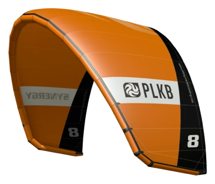 PLKB Synergy · 2019