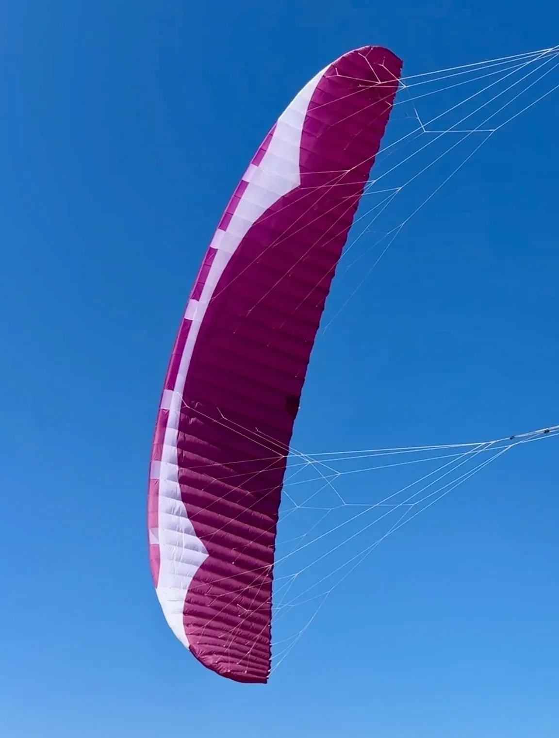 Gin Instinct V2S · 2025
